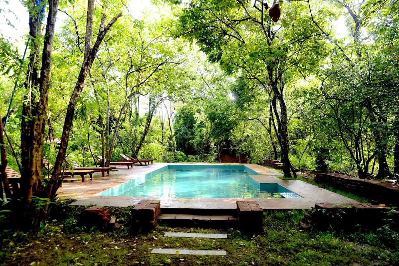 Mahagedara Wellness Retreat Hotel Avudangawa Bagian luar foto