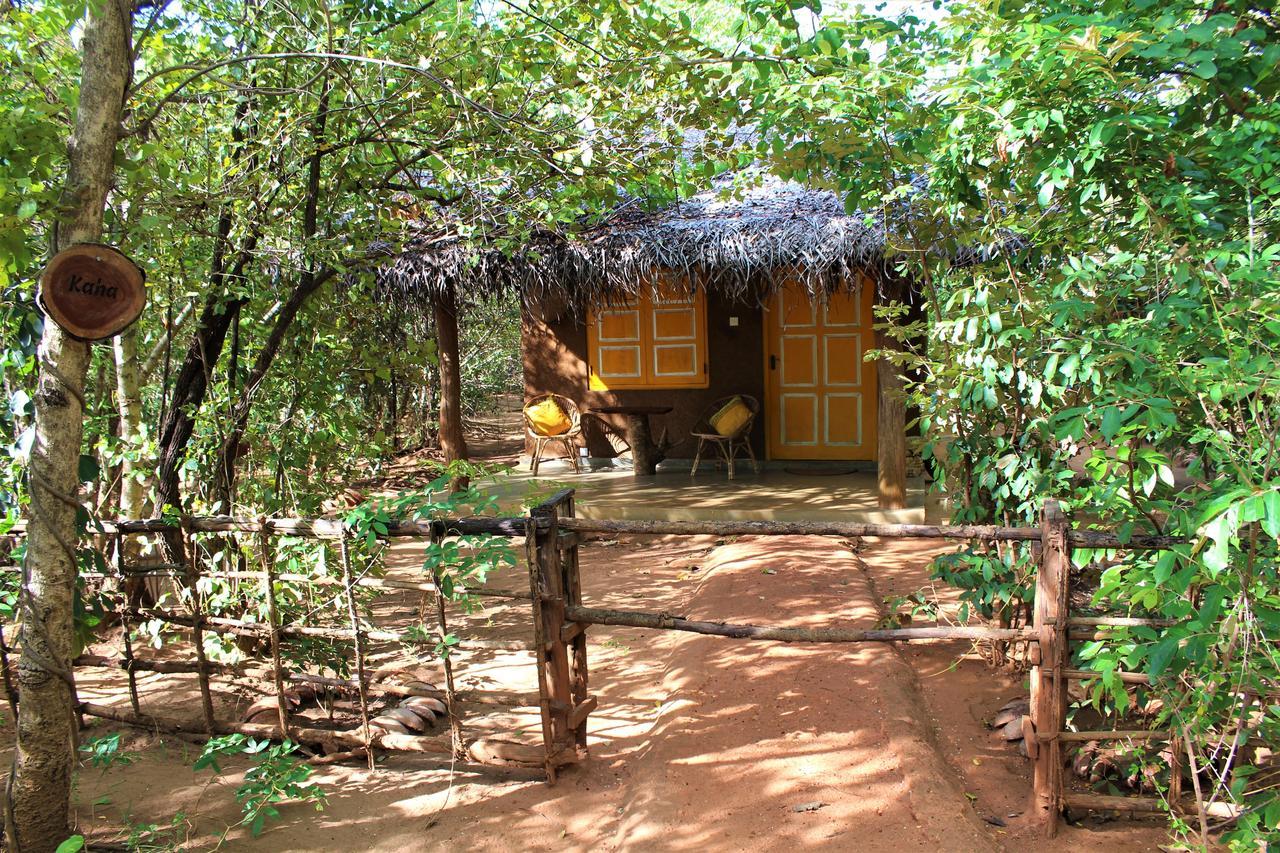 Mahagedara Wellness Retreat Hotel Avudangawa Bagian luar foto