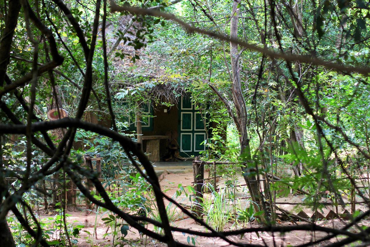 Mahagedara Wellness Retreat Hotel Avudangawa Bagian luar foto