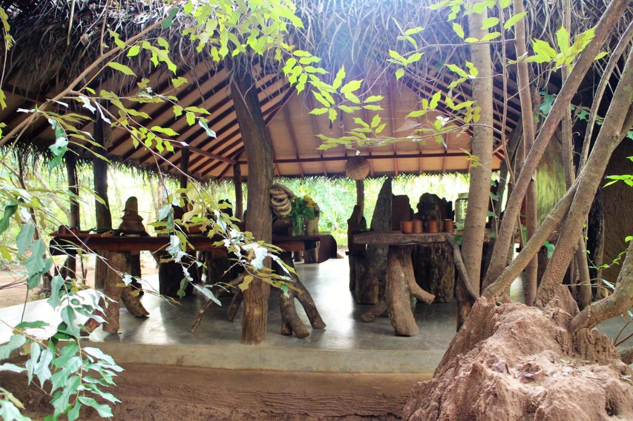 Mahagedara Wellness Retreat Hotel Avudangawa Bagian luar foto
