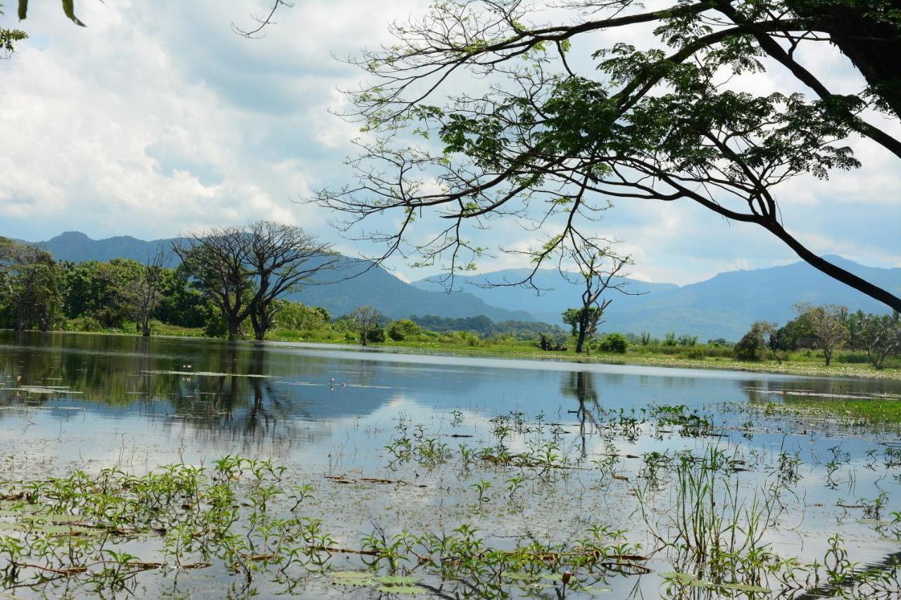 Mahagedara Wellness Retreat Hotel Avudangawa Bagian luar foto
