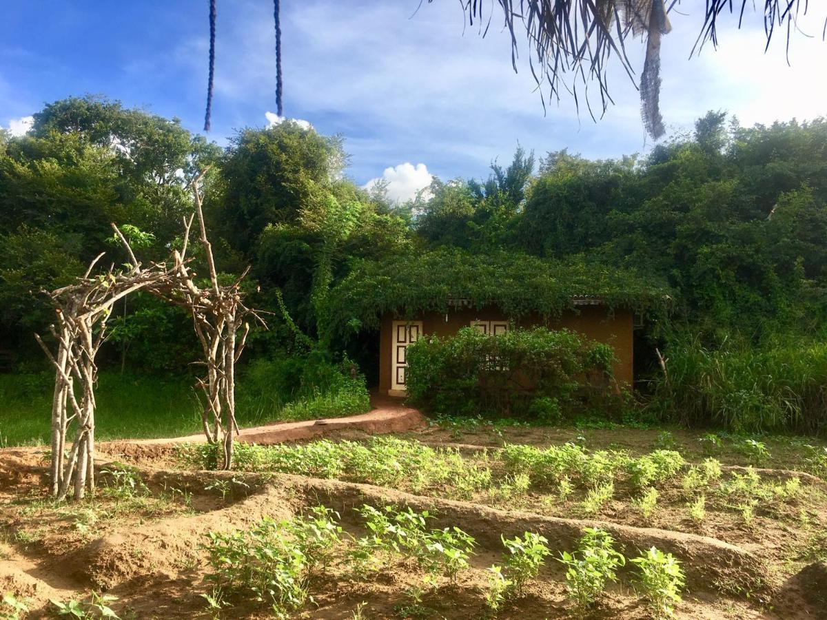 Mahagedara Wellness Retreat Hotel Avudangawa Bagian luar foto